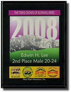 2008 TCR Series Division Award